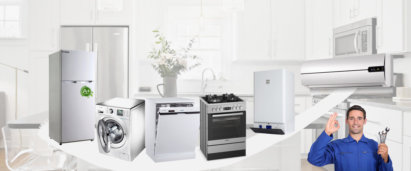 Vakfıkebir Dominox Servisi